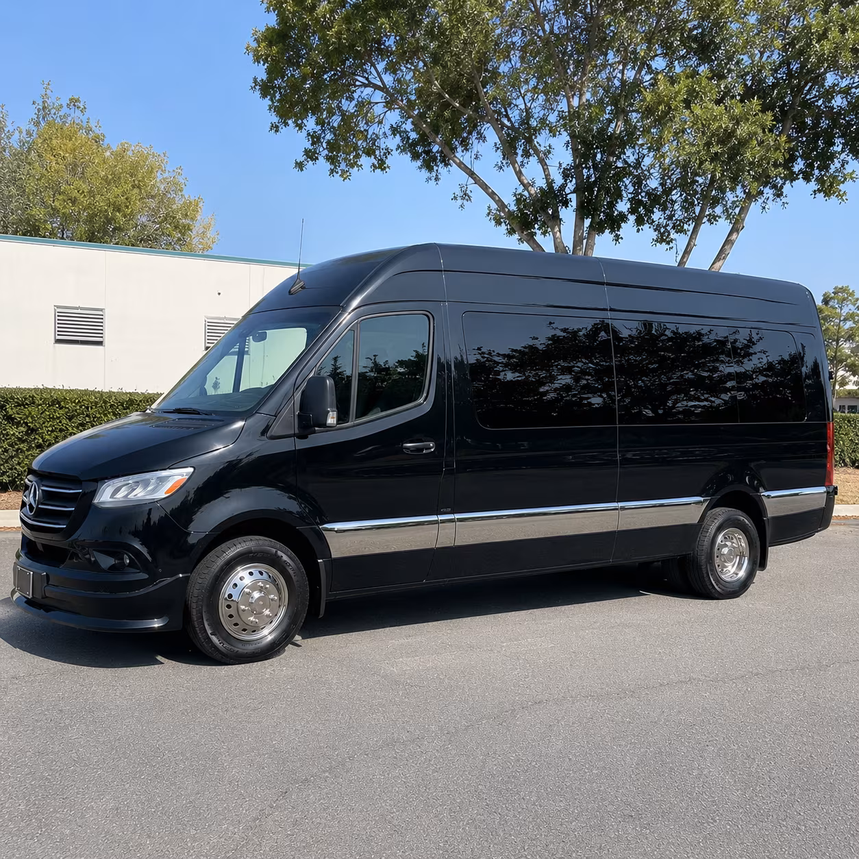 find the perfect transportation for your next birthday 4